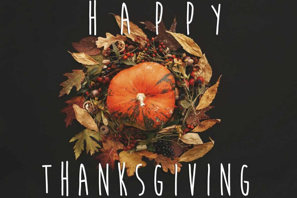 Thanksgiving Transfers
